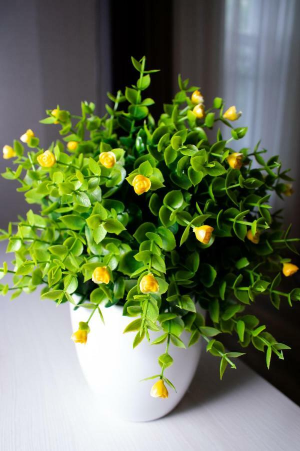 Apartment Barvy Lvova On Kostyushka St ภายนอก รูปภาพ